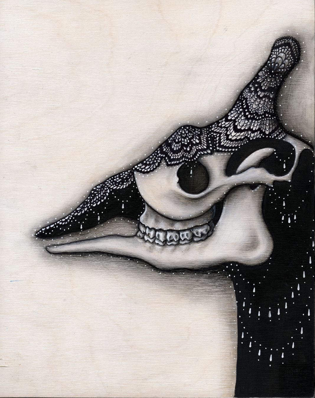 Midnight Giraffe