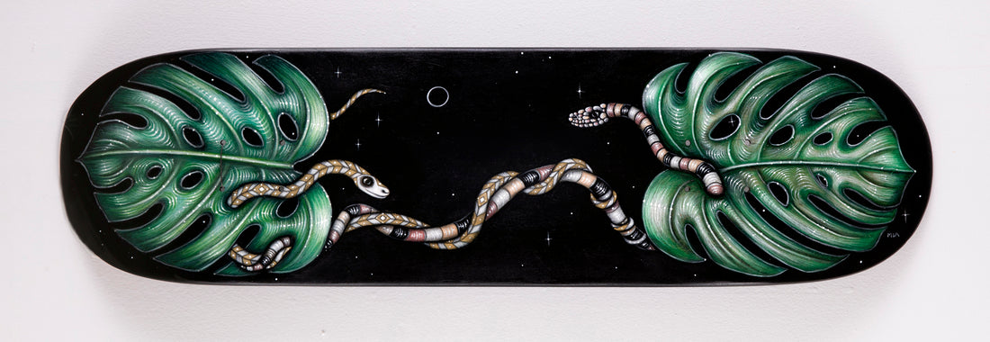 Moonlight Monstera