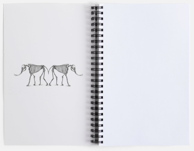 Fly Home Sketchbook