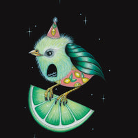 Key Lime Space Birdie - Canvas and Paper Prints