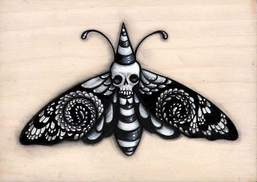 Daphne the Death Moth